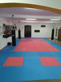 Imagem 4 da galeria do parceiro Team Felipe Rossi