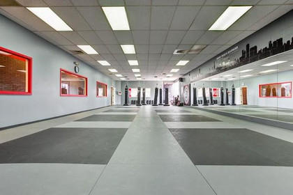 Image 3 from Krav Maga Illinois partner gallery