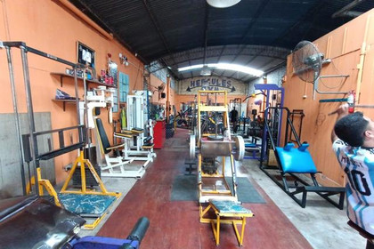 Imagen 2 de la galería del partner Hercules GYM VGG T020