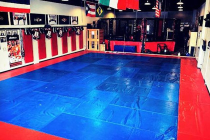 Image 4 from Dominion MMA partner gallery