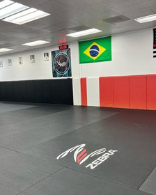 Image 3 from Studio 8 BJJ partner gallery