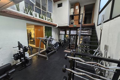 Imagen 3 de la galería del partner ALX GYM 257
