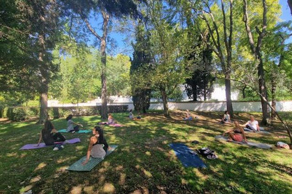 Imagen 5 de la galería del partner Yoga con Vanja