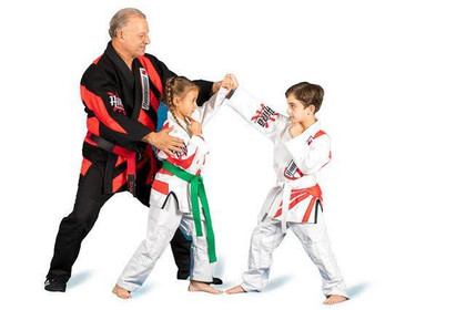 Image 2 from Hiro Martial Arts partner gallery