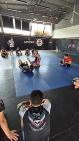 Imagen 6 de la galería del partner Mctlan MMA