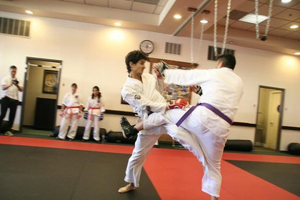 Image 3 from Arnott Kenpo Karate partner gallery