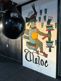 Imagen 4 de la galería del partner KINAM MMA