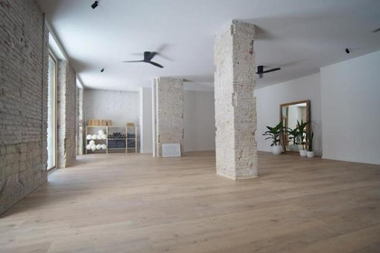 Imagen 2 de la galería del partner Oleka Yoga Studio