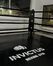 Imagen 1 de la galería del partner Invictus Boxing Gym