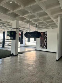 Imagen 4 de la galería del partner Invictus Boxing Gym