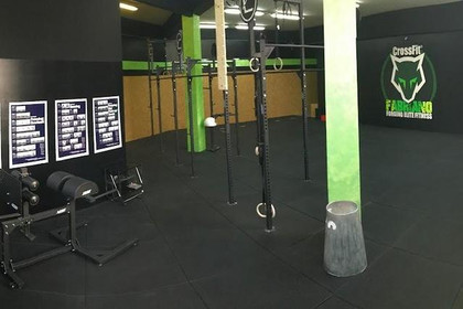 Immagine 2 dalla galleria del partner Crossfit Fabriano