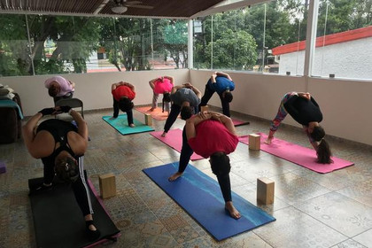 Imagen 3 de la galería del partner Luzesencias Centro Holístico