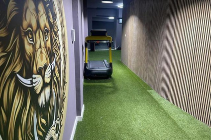 Imagen 3 de la galería del partner Fit Lion Barber