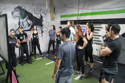 Imagen 3 de la galería del partner Pitbulls Guadalajara
