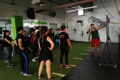 Imagen 4 de la galería del partner Pitbulls Guadalajara