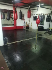 Imagen 1 de la galería del partner Chicarcas Boxing Team