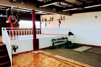 Imagen 2 de la galería del partner Canguros Boxing Coyoacán