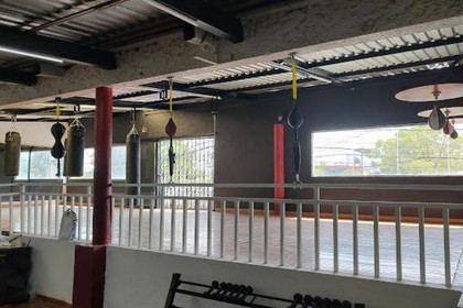 Imagen 3 de la galería del partner Canguros Boxing Coyoacán