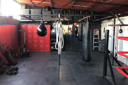 Imagen 1 de la galería del partner Canguros Boxing Lindavista