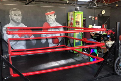 Imagen 2 de la galería del partner Canguros Boxing Lindavista