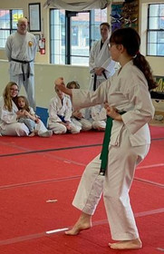 Image 4 from Freeman's Shorin Ryu Karate partner gallery