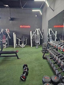 Imagen 3 de la galería del partner Elite Team Pro Gym Milenio