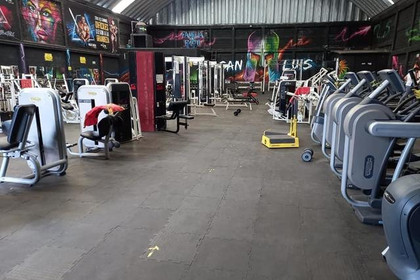 Imagen 2 de la galería del partner Elite Team Pro Gym San Luis