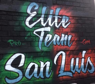 Imagen 5 de la galería del partner Elite Team Pro Gym San Luis