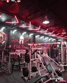 Imagen 2 de la galería del partner Elite Team Pro Gym Tepepan