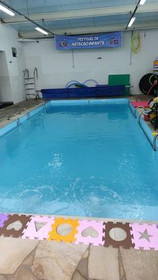 Imagem 6 da galeria do parceiro Escola Aqua Kids