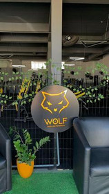 Imagem 3 da galeria do parceiro Centro de Treinamento Wolf