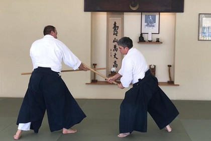 Image 4 from San Diego Aikikai partner gallery