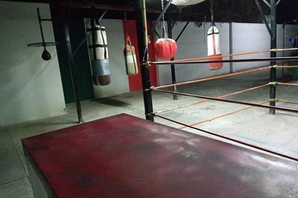 Imagen 2 de la galería del partner Warrior's Box Gym