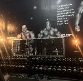 Image 2 from Steel Gym partner gallery