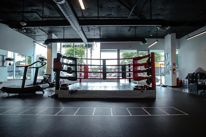 Image 1 from Gonza Boxing Union partner gallery