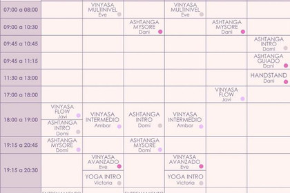 Imagen 1 de la galería del partner Yoga Studio Chile