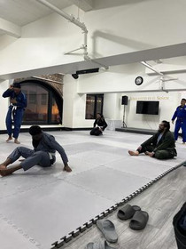 Image 1 from High Level Jiu Jitsu partner gallery