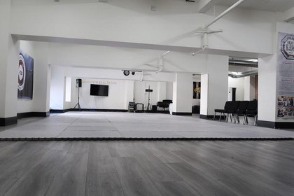Image 2 from High Level Jiu Jitsu partner gallery