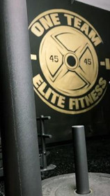 Image 5 from One Team Elite Fitness partner gallery