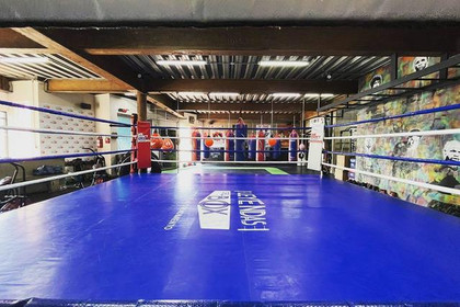 Imagen 1 de la galería del partner Leyendas Del Box Azcapotzalco