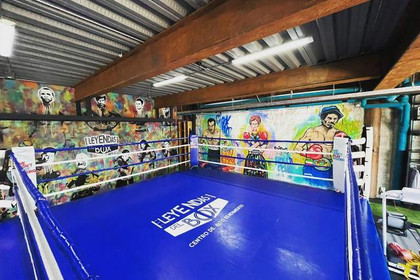Imagen 2 de la galería del partner Leyendas Del Box Azcapotzalco