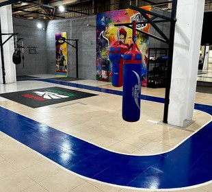 Imagen 6 de la galería del partner Leyendas Del Box Azcapotzalco