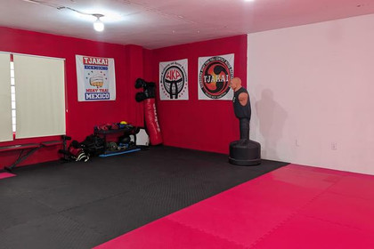 Imagen 3 de la galería del partner Highkick Combat Sport