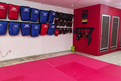Imagen 4 de la galería del partner Highkick Combat Sport