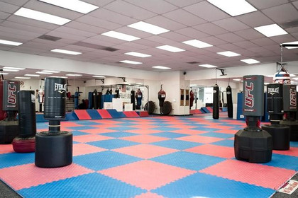 Image 2 from Flying Kick Martial Arts & Fitness partner gallery