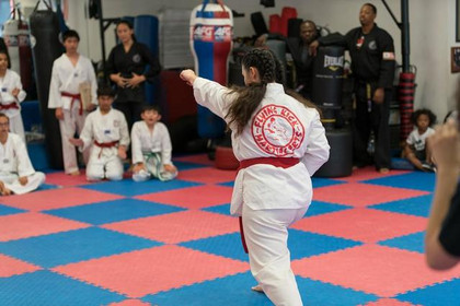 Image 4 from Flying Kick Martial Arts & Fitness partner gallery