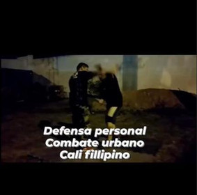 Imagen 2 de la galería del partner kapap- krav maga - wild beast