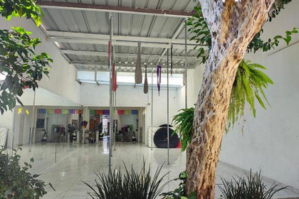 Imagen 2 de la galería del partner Danz Training