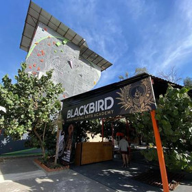 Imagen 1 de la galería del partner Blackbird Mixed Martial Arts