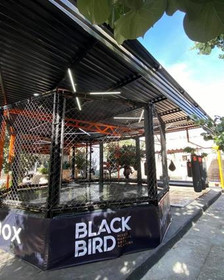 Imagen 3 de la galería del partner Blackbird Mixed Martial Arts